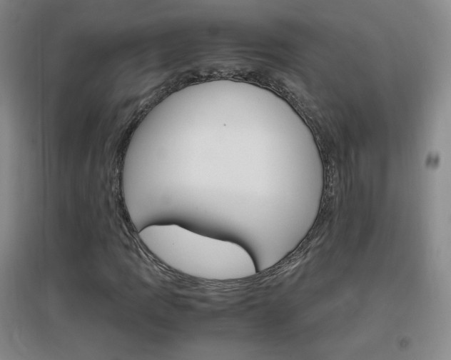 X0000096941109200802080852