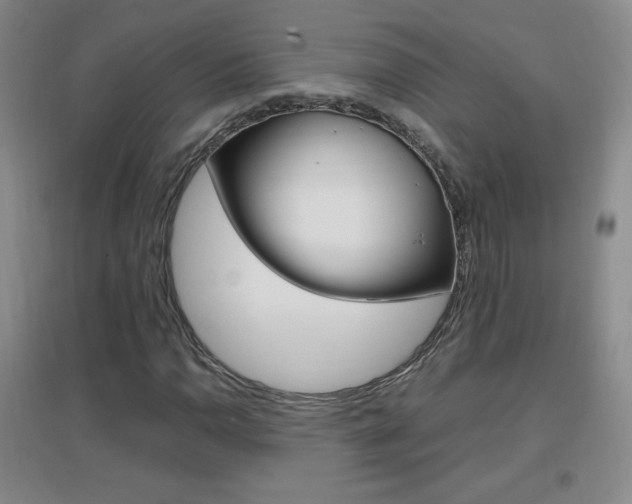 X0000096941110200802080852