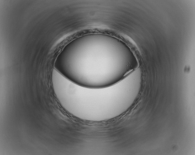 X0000096941112200802080852