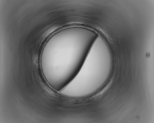 X0000096941113200802080852
