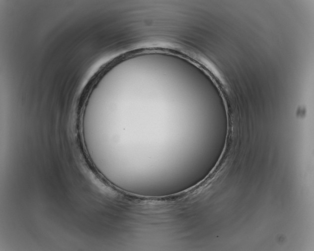 X0000096941116200802080852