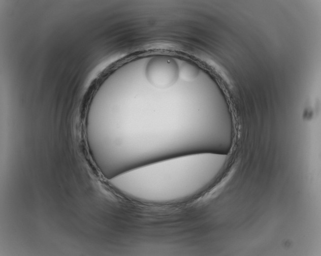 X0000096941117200802080852