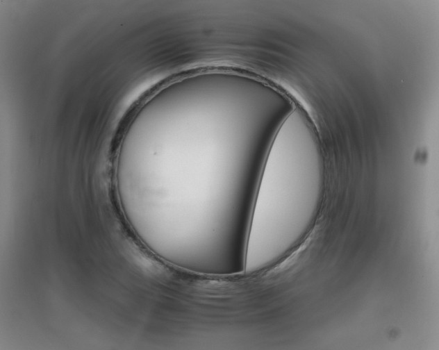 X0000096941119200802080852