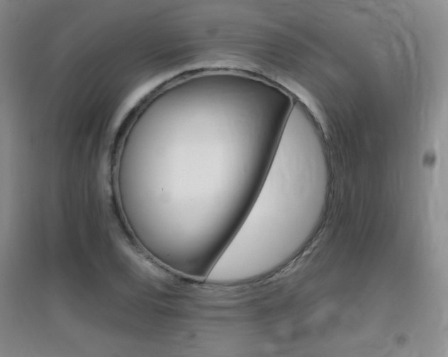 X0000096941120200802080852