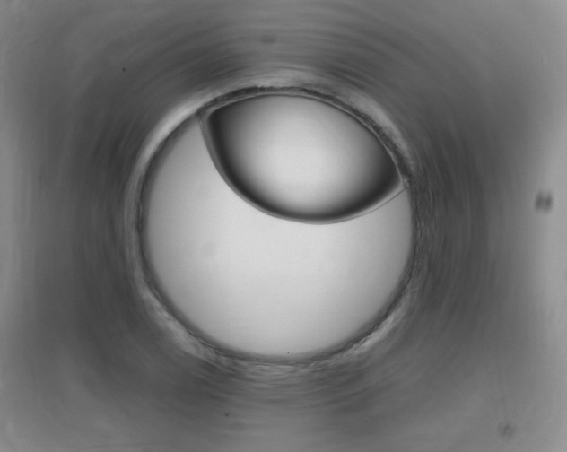 X0000096941122200802080852