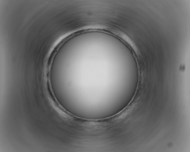 X0000096941124200802080852