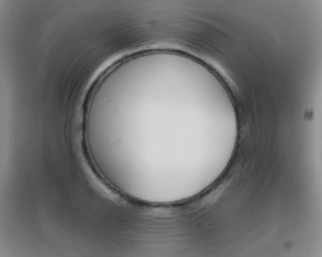 X0000096941126200802080852