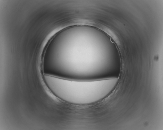 X0000096941136200802080853