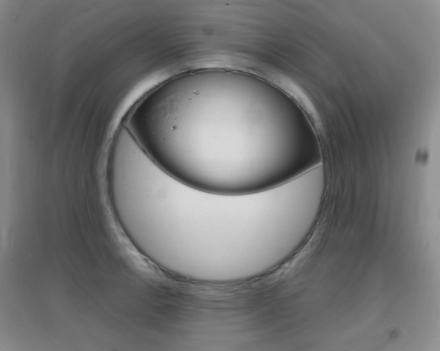 X0000096941138200802080853