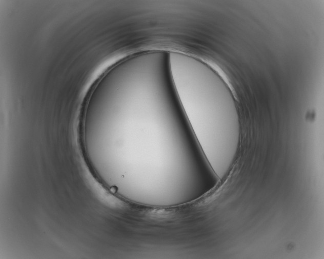 X0000096941139200802080853