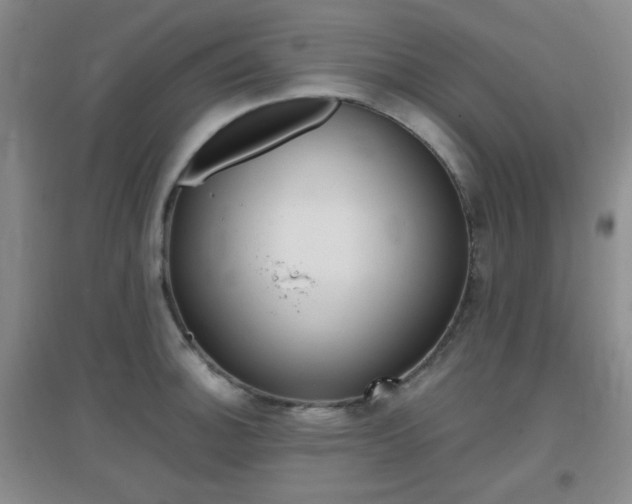 X0000096941140200802080853