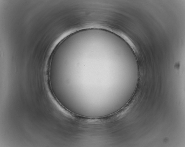 X0000096941142200802080853