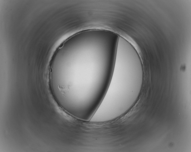 X0000096941144200802080853