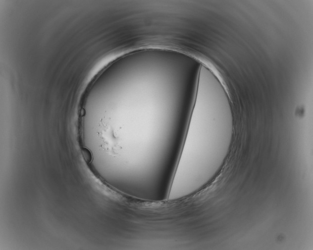 X0000096941147200802080853