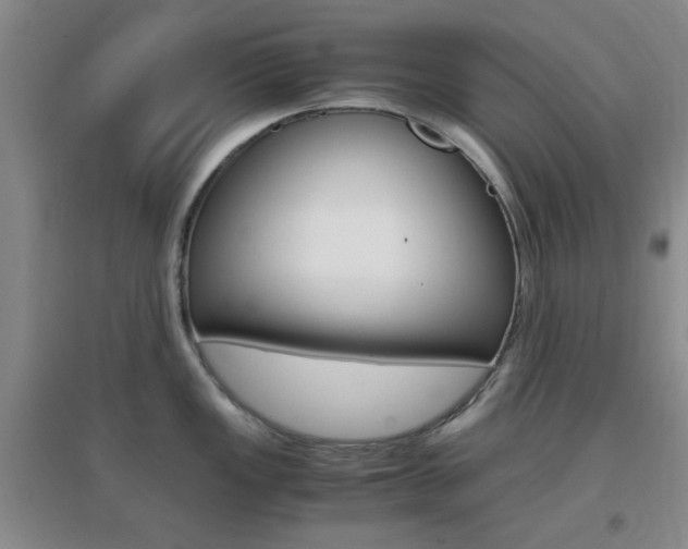 X0000096941149200802080853