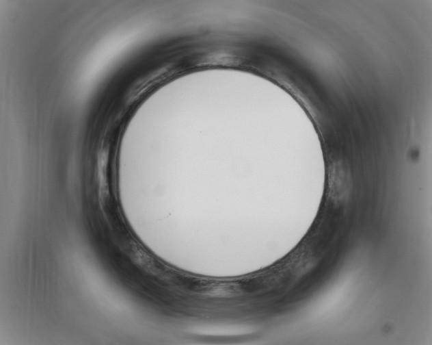 X0000096941150200802080853