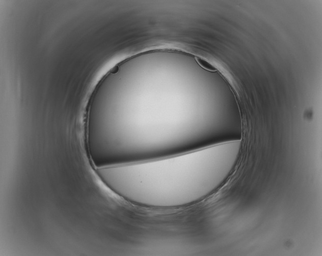 X0000096941151200802080853