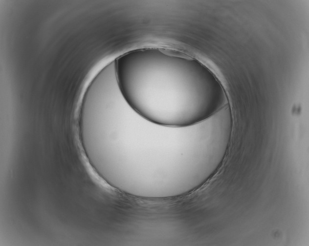 X0000096941152200802080853