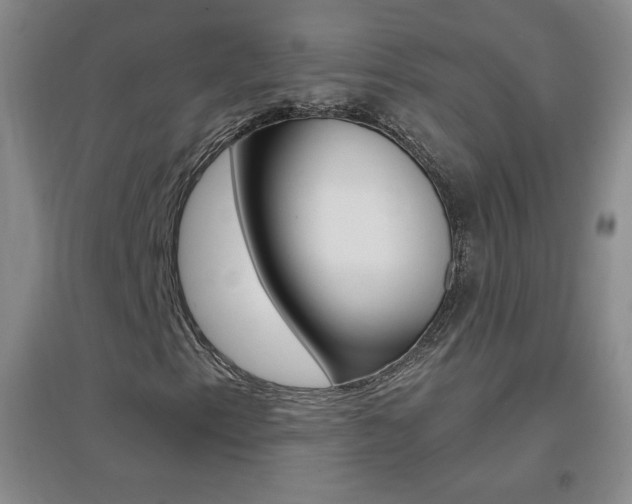X0000096941153200802080852