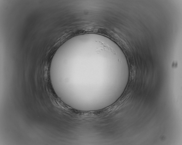 X0000096941154200802080852