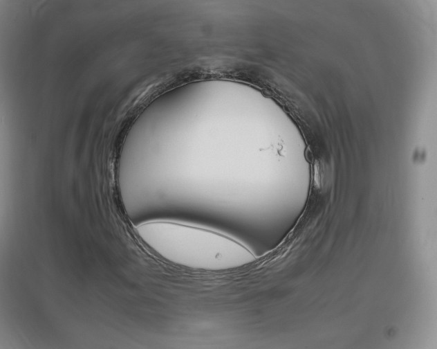 X0000096941155200802080852