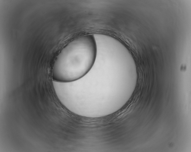 X0000096941156200802080852