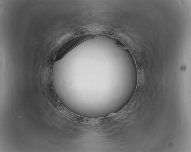 X0000096941157200802080852