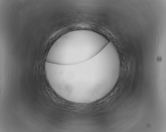 X0000096941158200802080852