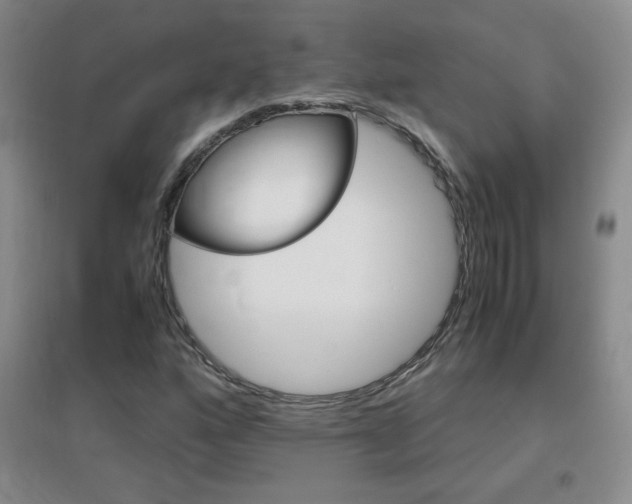 X0000096941160200802080852