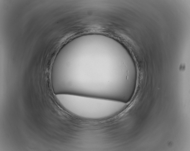 X0000096941161200802080852