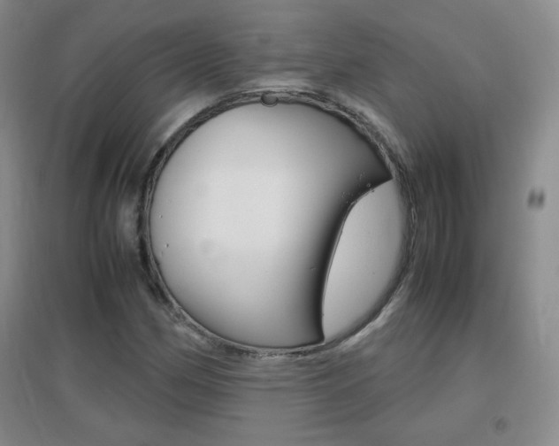 X0000096941162200802080852