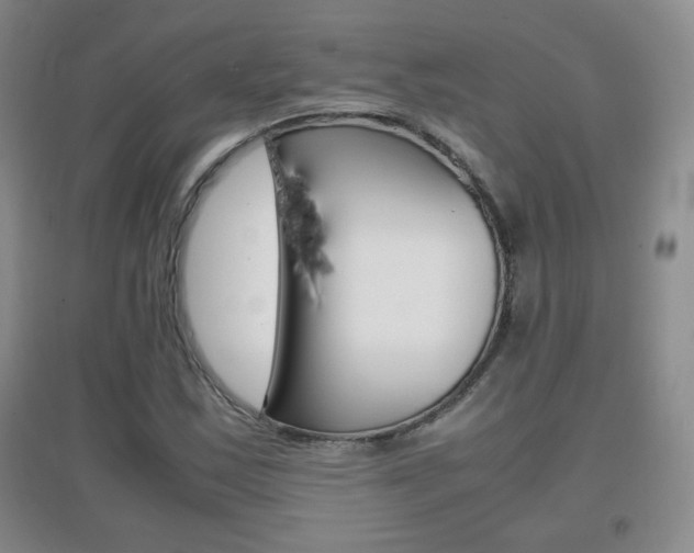 X0000096941163200802080852