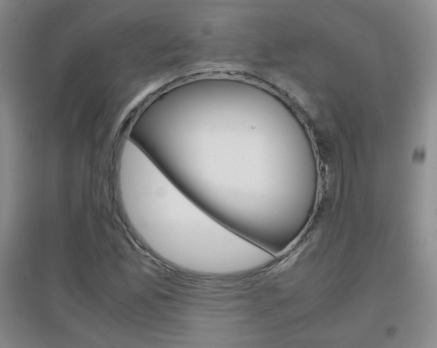 X0000096941165200802080852