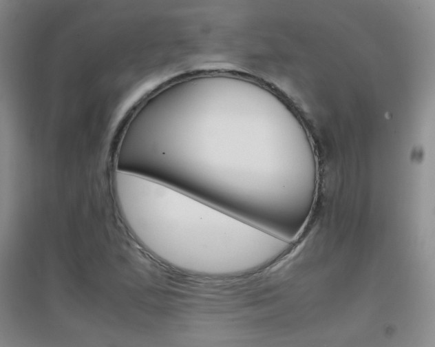 X0000096941167200802080852