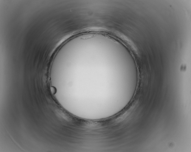 X0000096941170200802080852