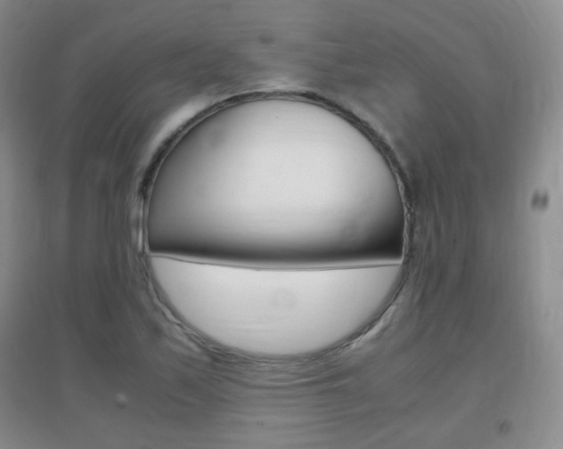 X0000096941171200802080852