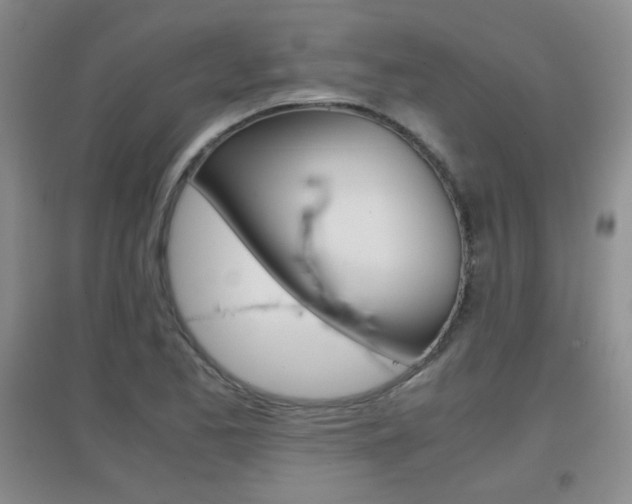 X0000096941173200802080852
