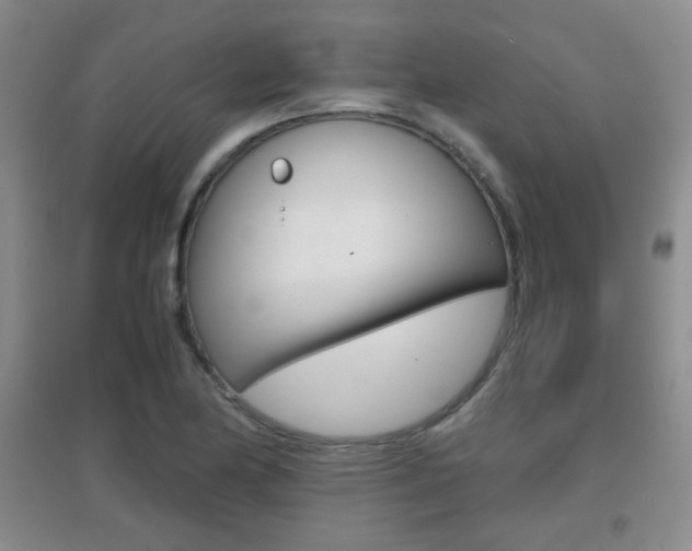 X0000096941174200802080852