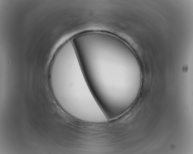 X0000096941175200802080852