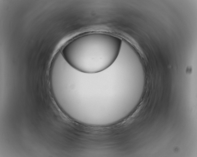 X0000096941176200802080852