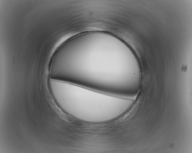 X0000096941179200802080852