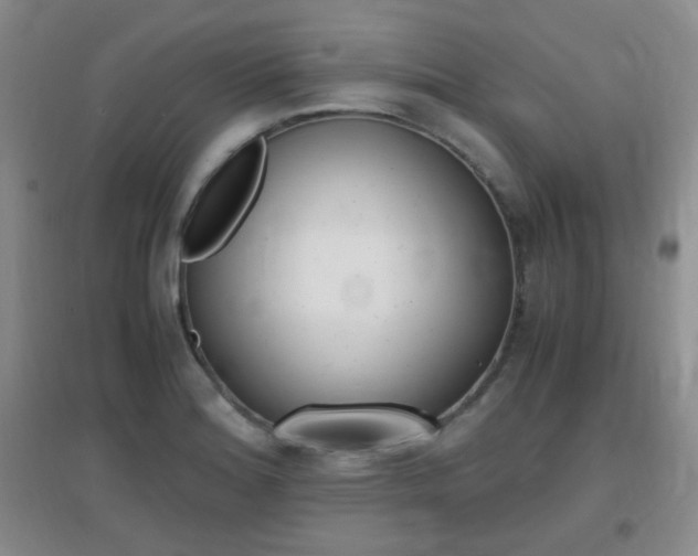 X0000096941180200802080852