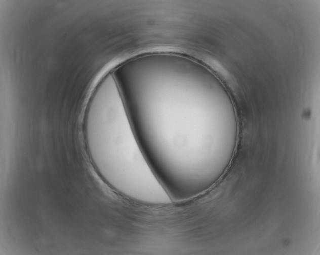X0000096941181200802080852