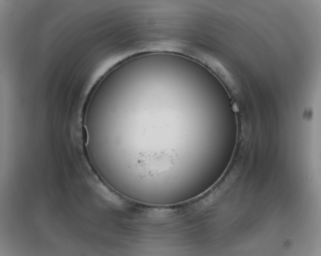 X0000096941184200802080852