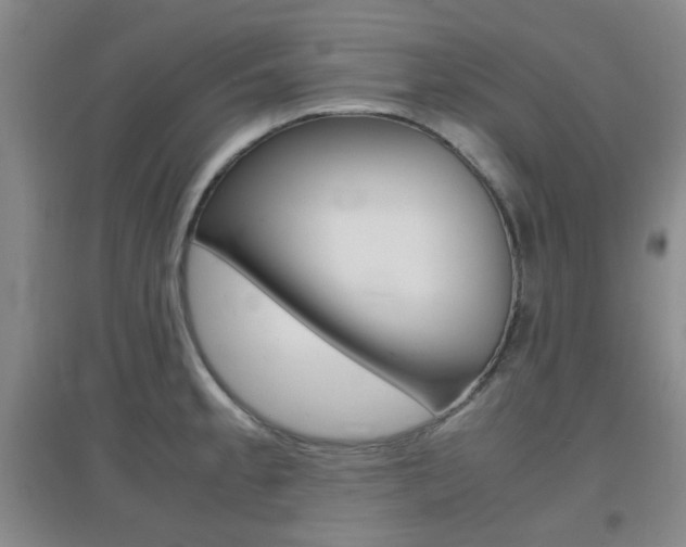 X0000096941189200802080852