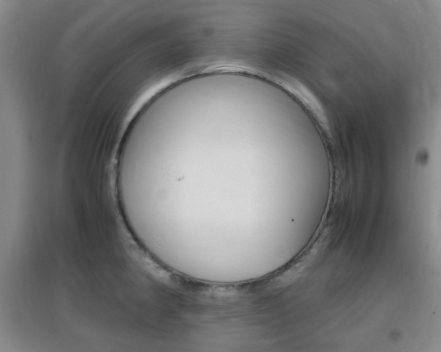 X0000096941190200802080852