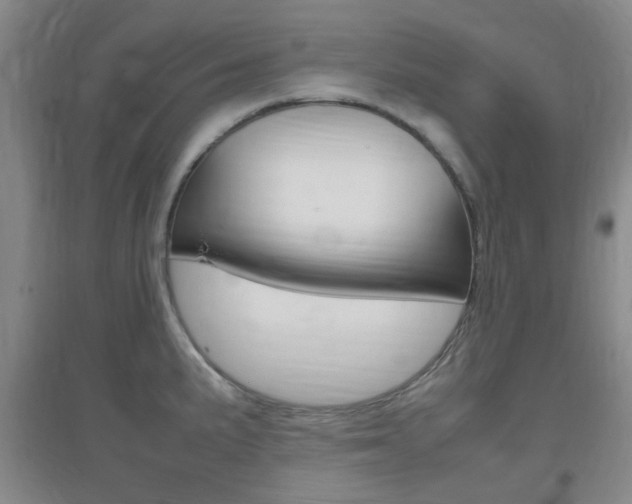 X0000096941191200802080852