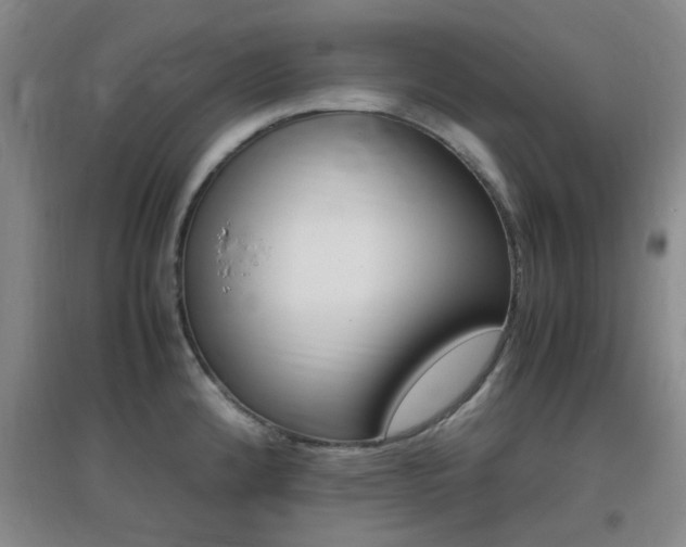 X0000096941192200802080852