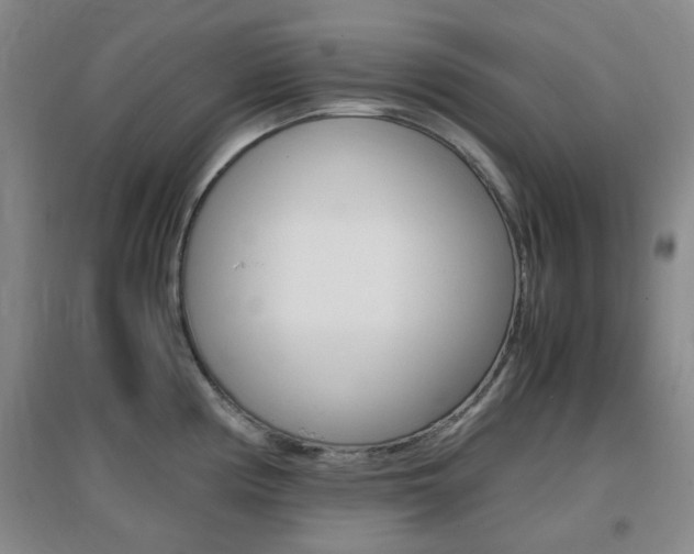 X0000096941194200802080852