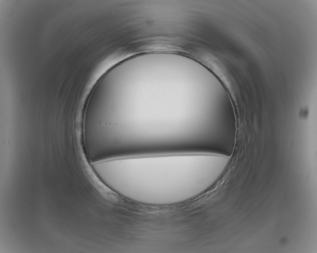 X0000096941195200802080851